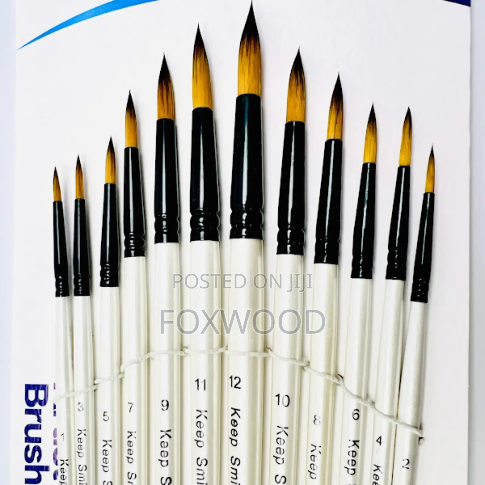 Round Artist Brush Set 12pcs