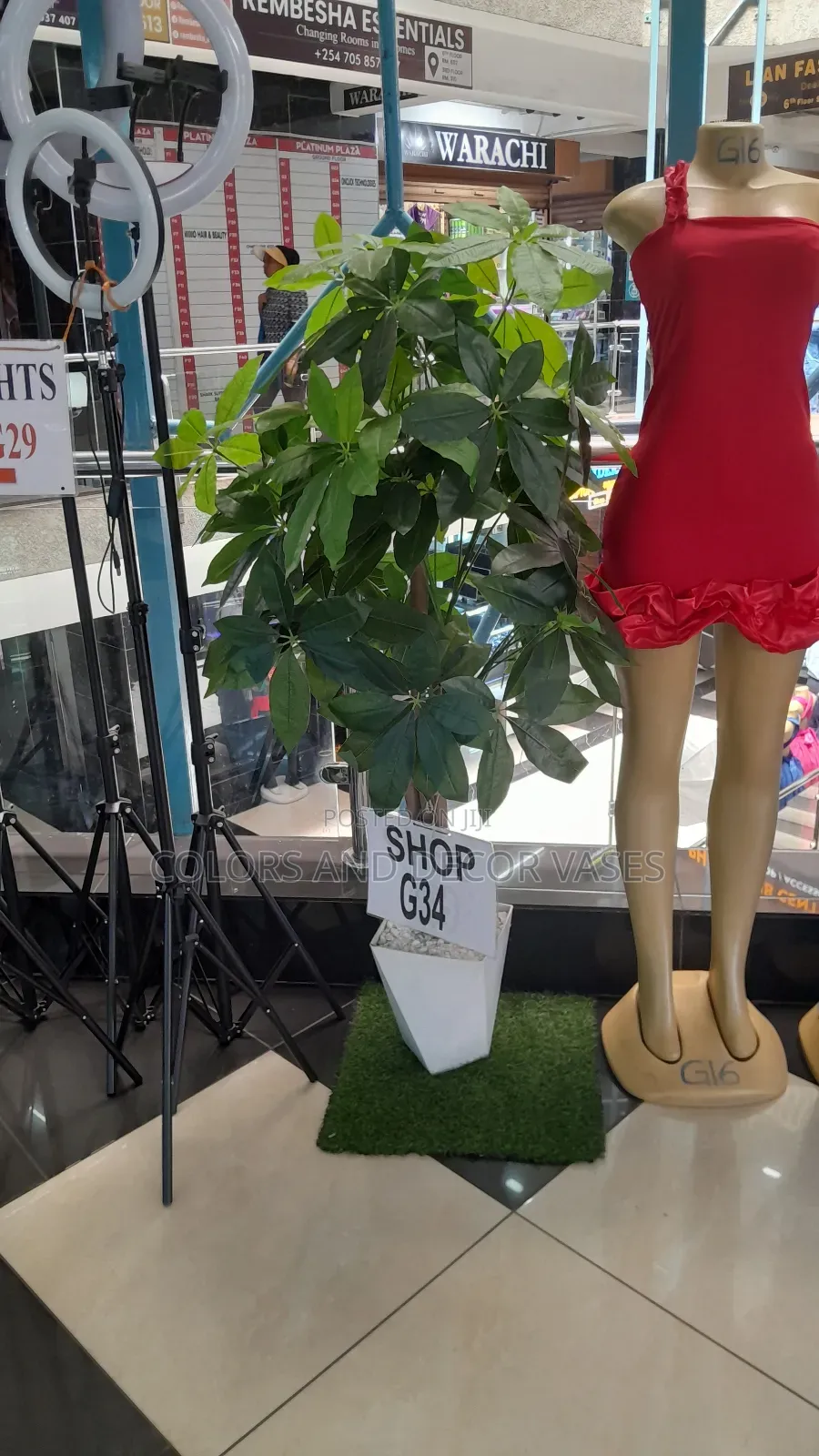 Beautiful Corner Long Plant 1.5m