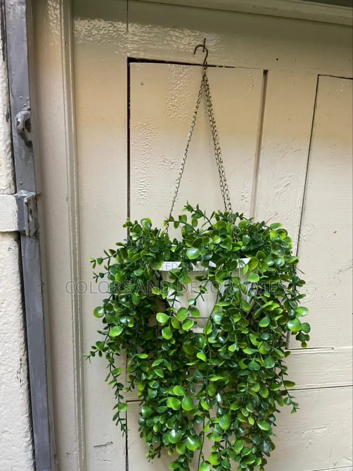 Outdoor Hanging Vines and Vases