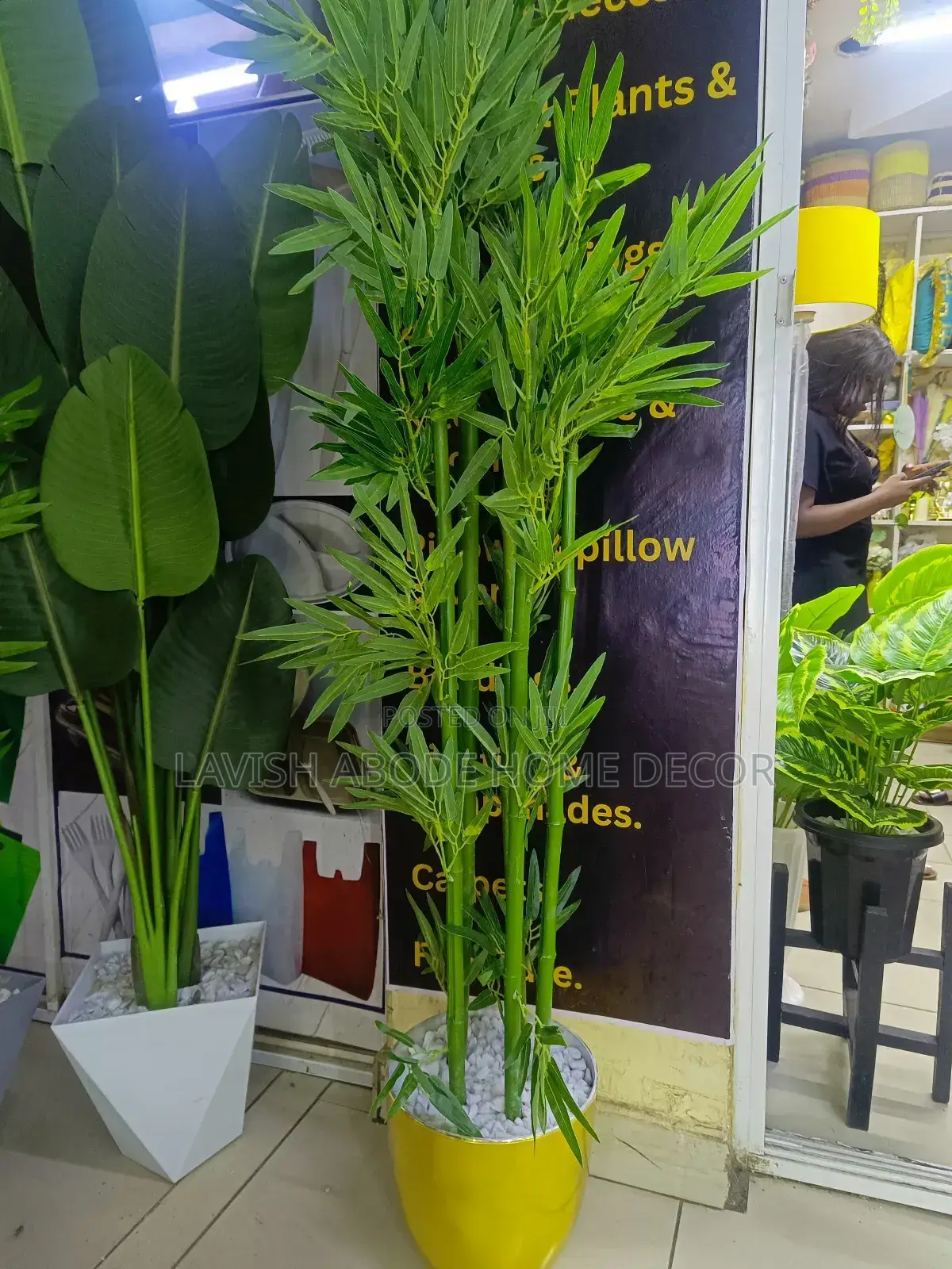 Bamboo Plant With Gold Vase