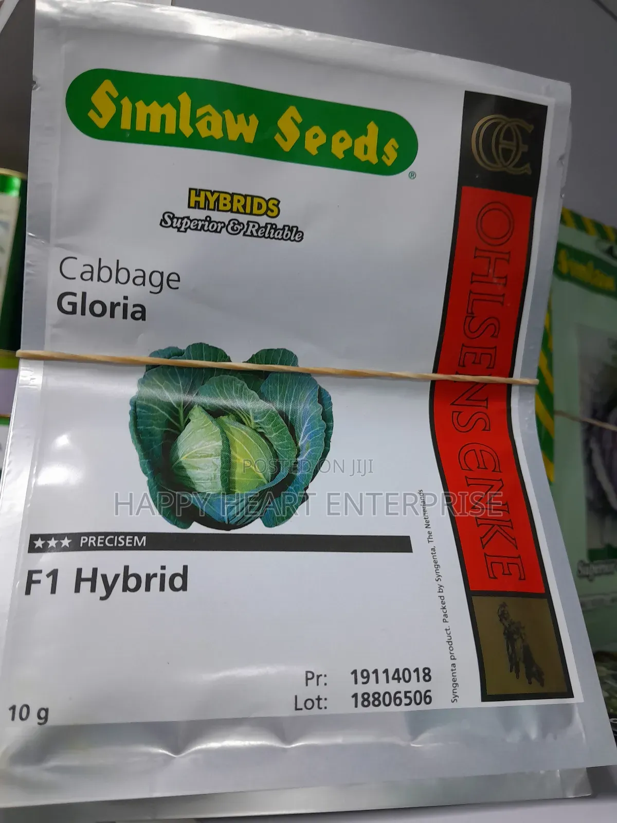 Gloria F1 Hybrid Cabbage 10G