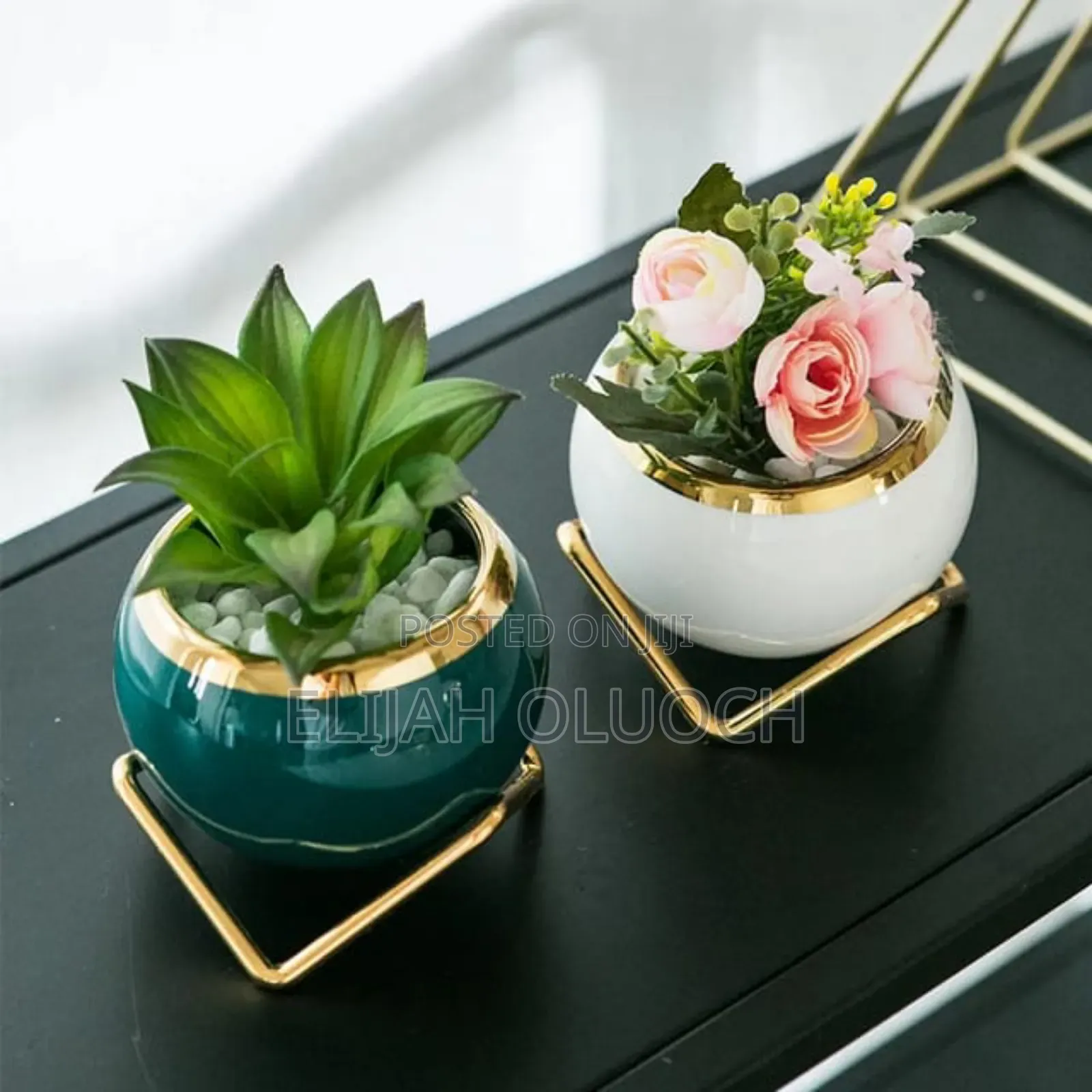 Simple Creative Succulent Planter Flower Pot