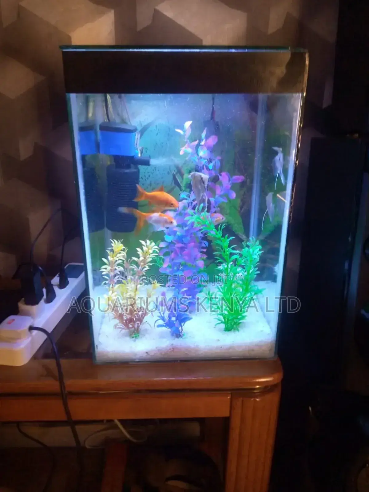 Colourful Mini-Tower Aquarium .