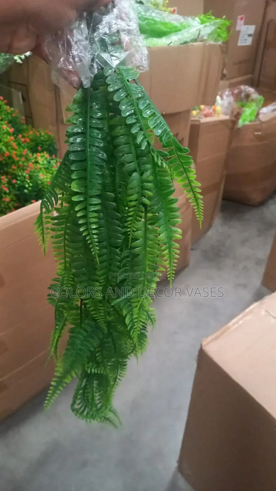 Vines Available in Variety