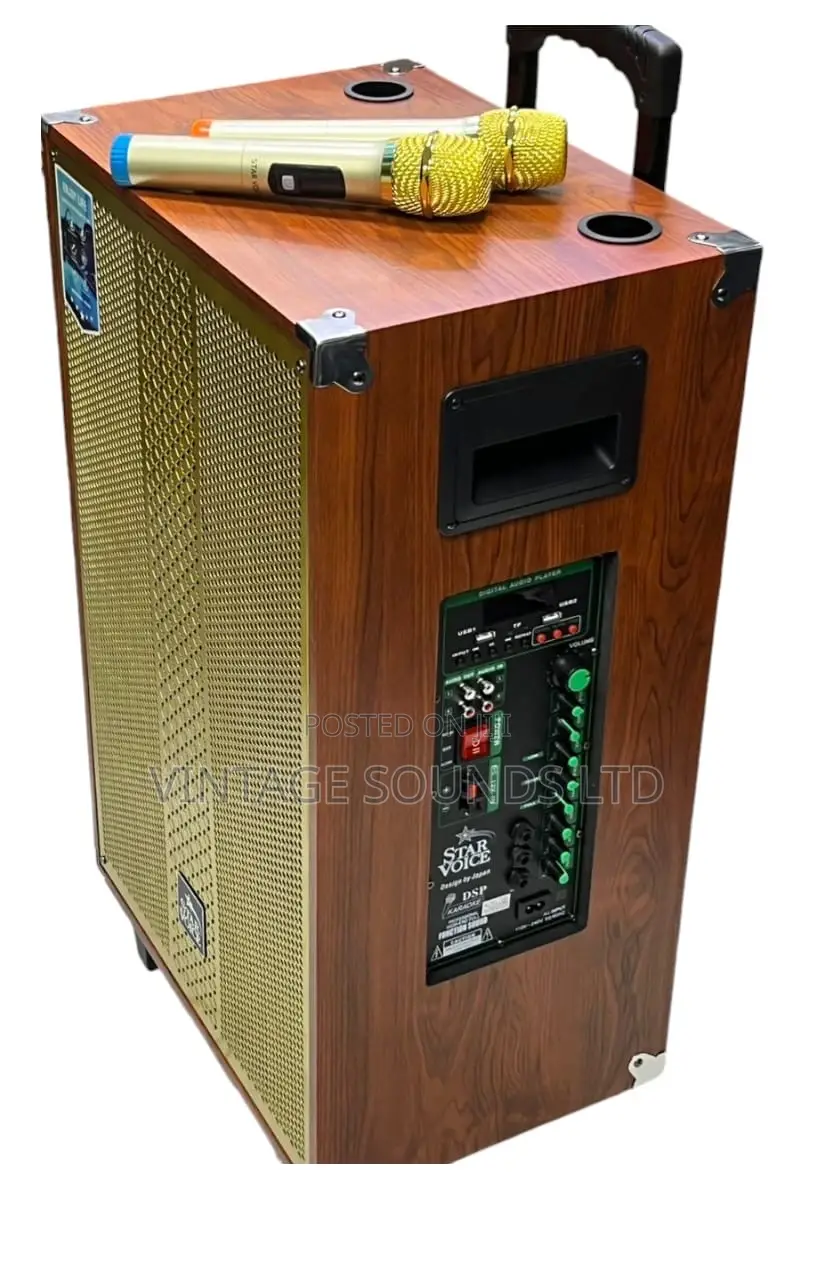 Starvoice 15” Powered Portable Speaker