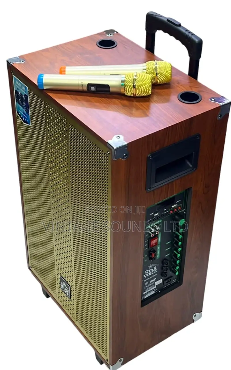 Starvoice 15” Powered Portable Speaker