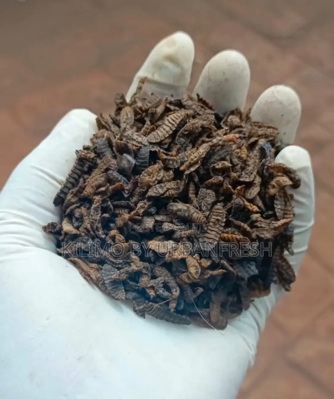 Dried BSF Larvae Feed. 50% Crude Protein. 25kgs