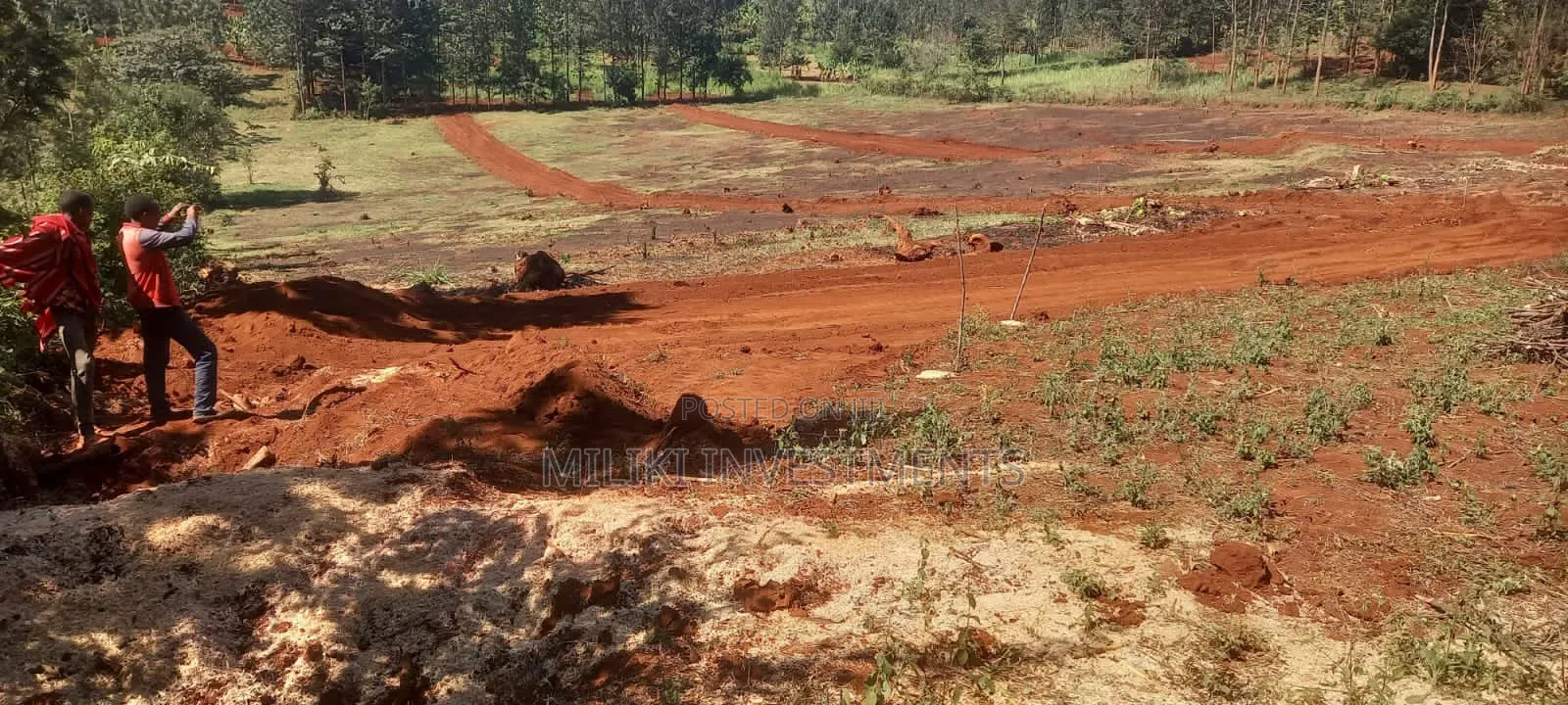 50 by 100 Plots on Sale at Murang'a Embassy