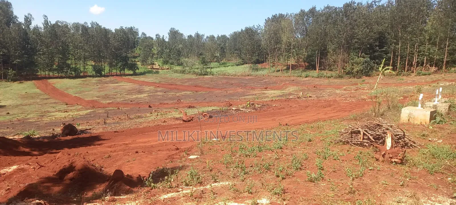 50 by 100 Plots on Sale at Murang'a Embassy