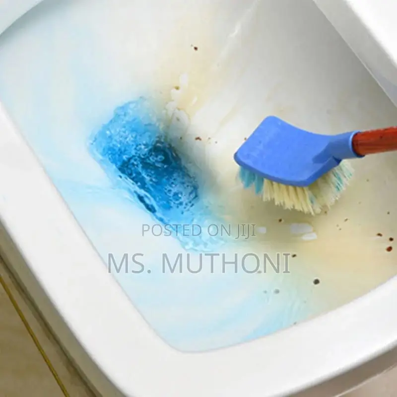 10 Blue Bubble Toilet Cleaner