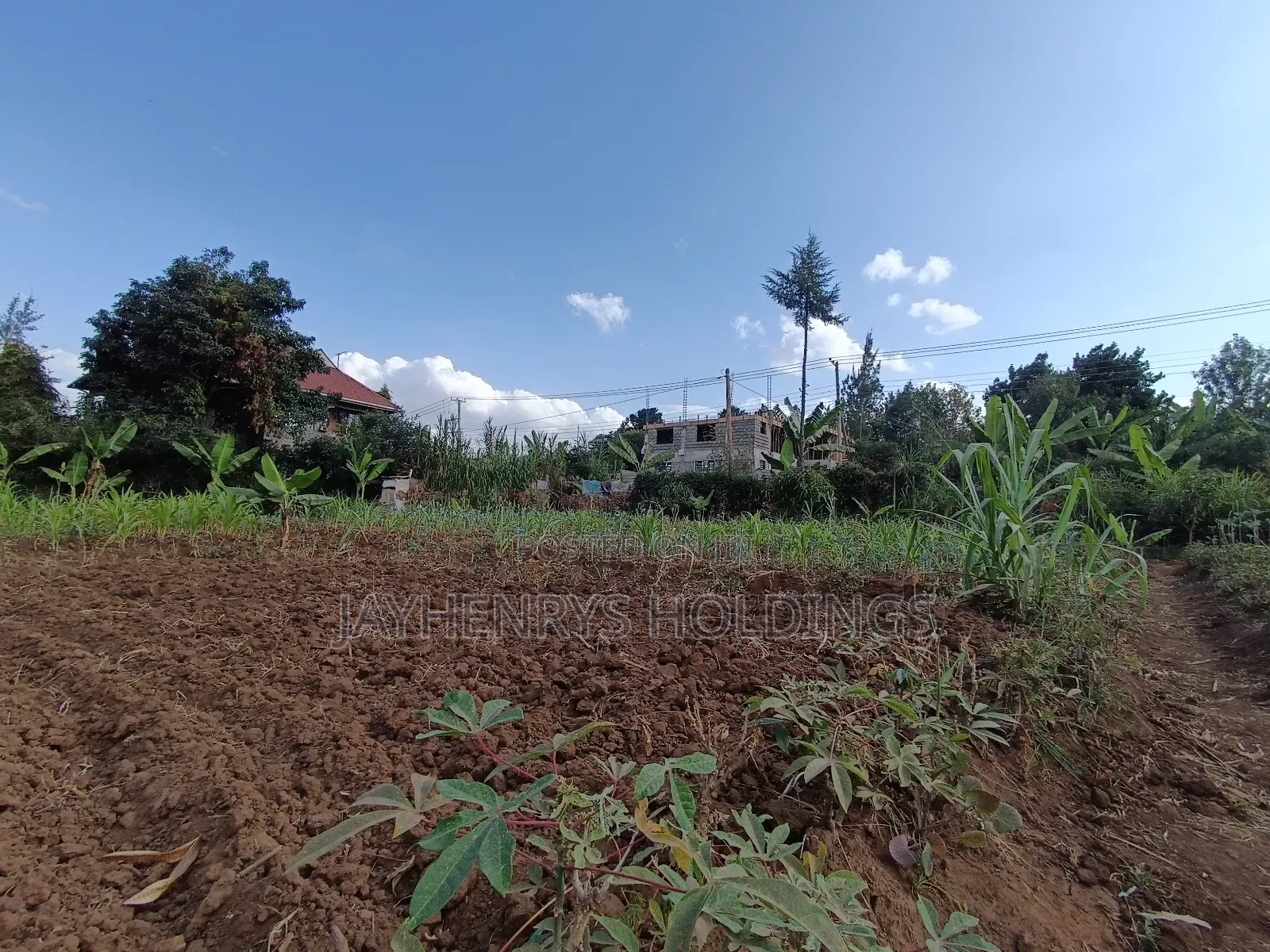 1/2 Acre Plot for Sale in Ghorofani, Kasarani