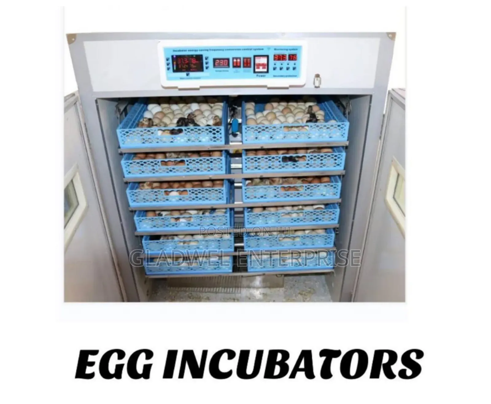 Automatic Egg Incubator
