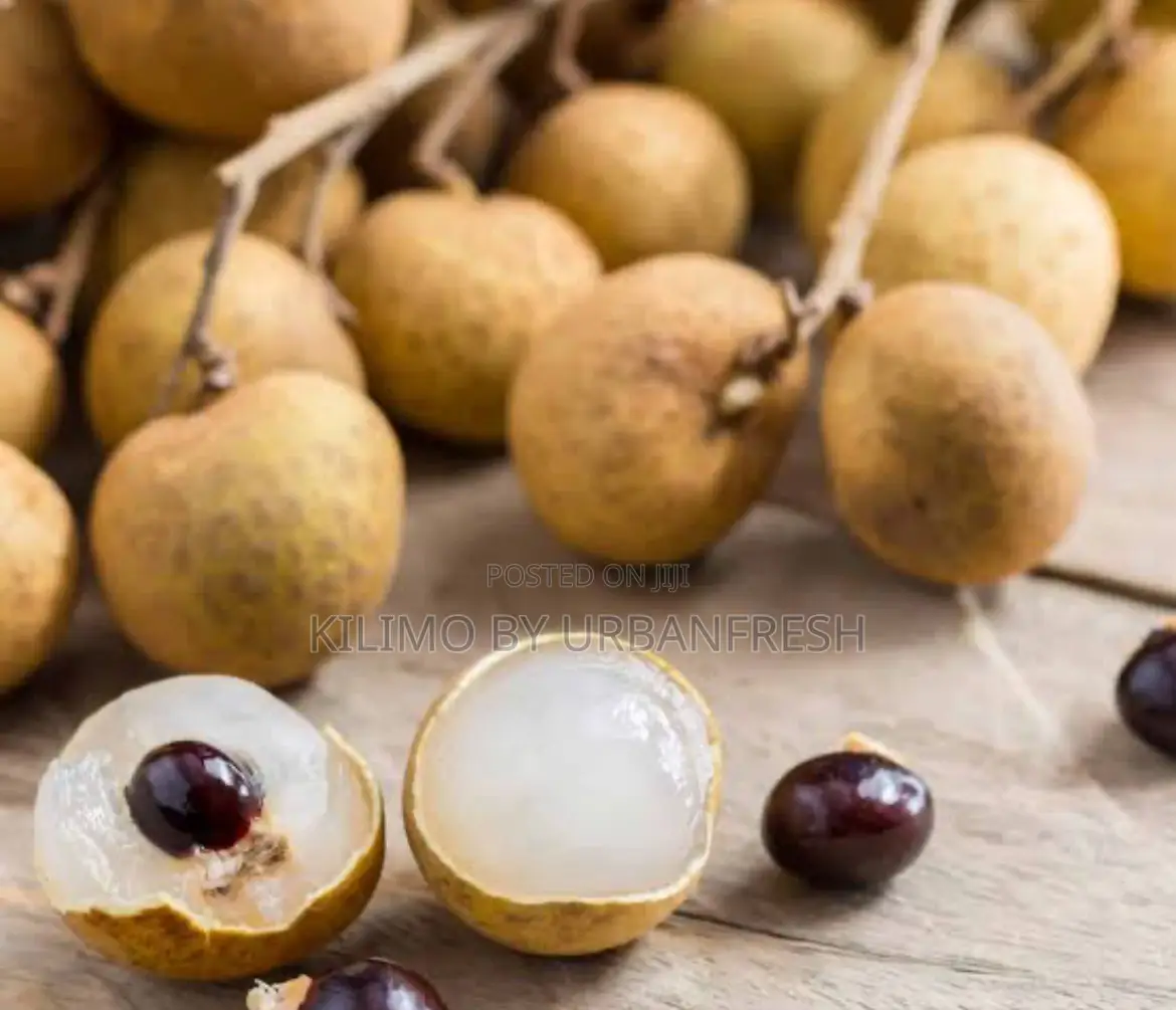Longan Lychee Fruit Seedling