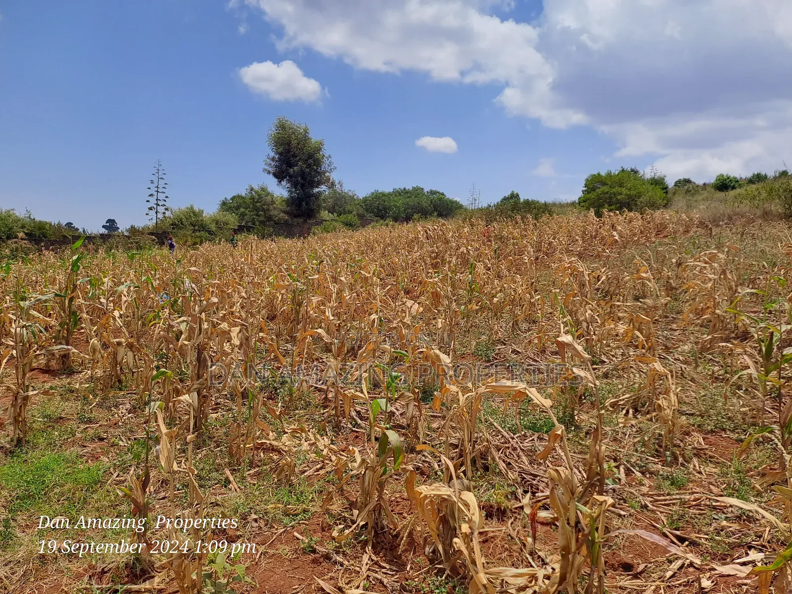 3.5 Acres in Ngong Kibiko for Sale as Block Touching Tarmac