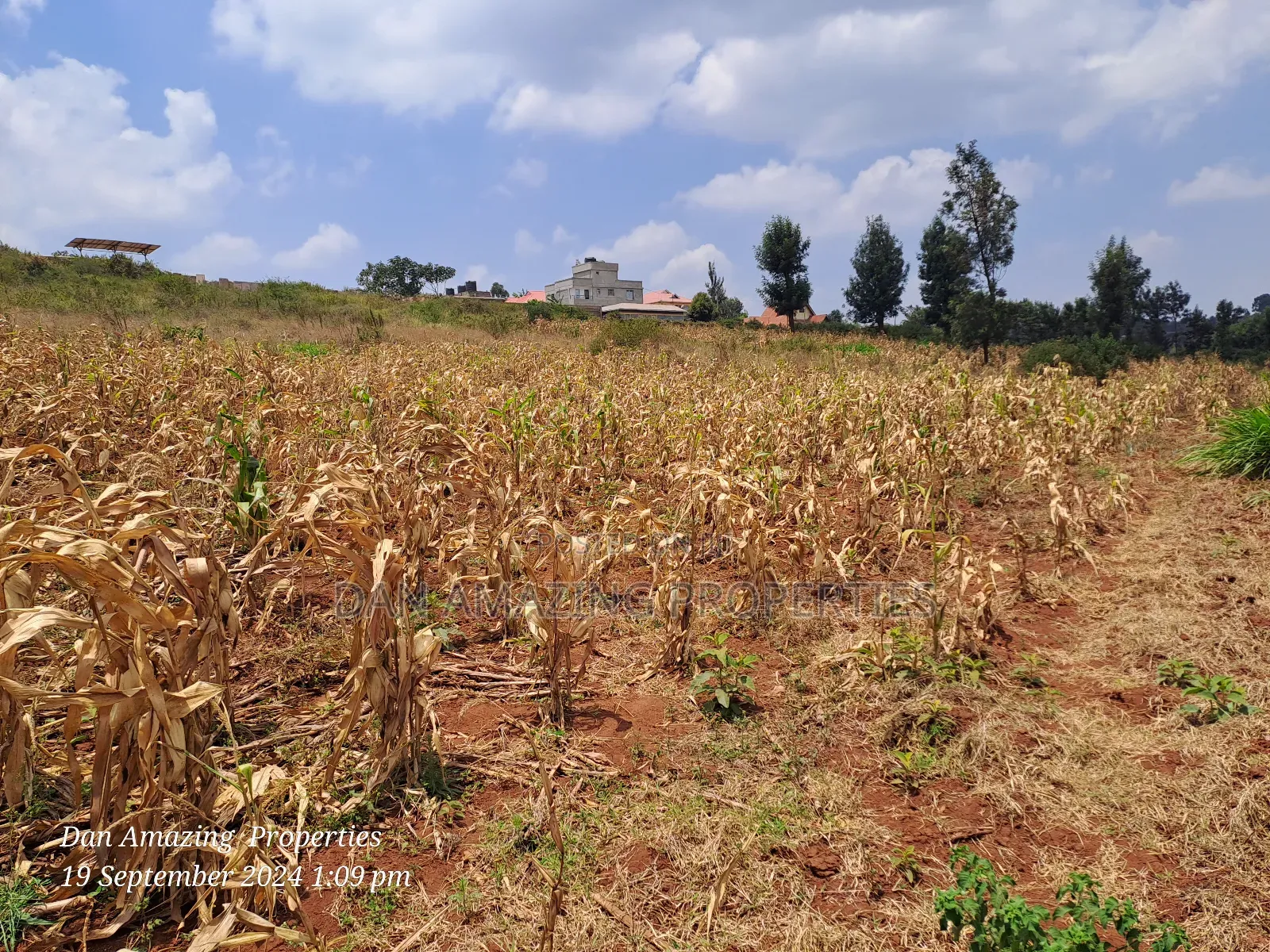3.5 Acres in Ngong Kibiko for Sale as Block Touching Tarmac