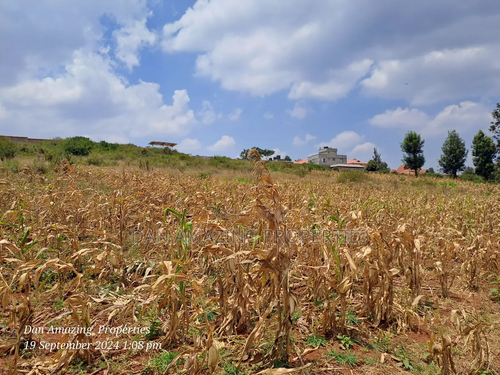 3.5 Acres in Ngong Kibiko for Sale as Block Touching Tarmac