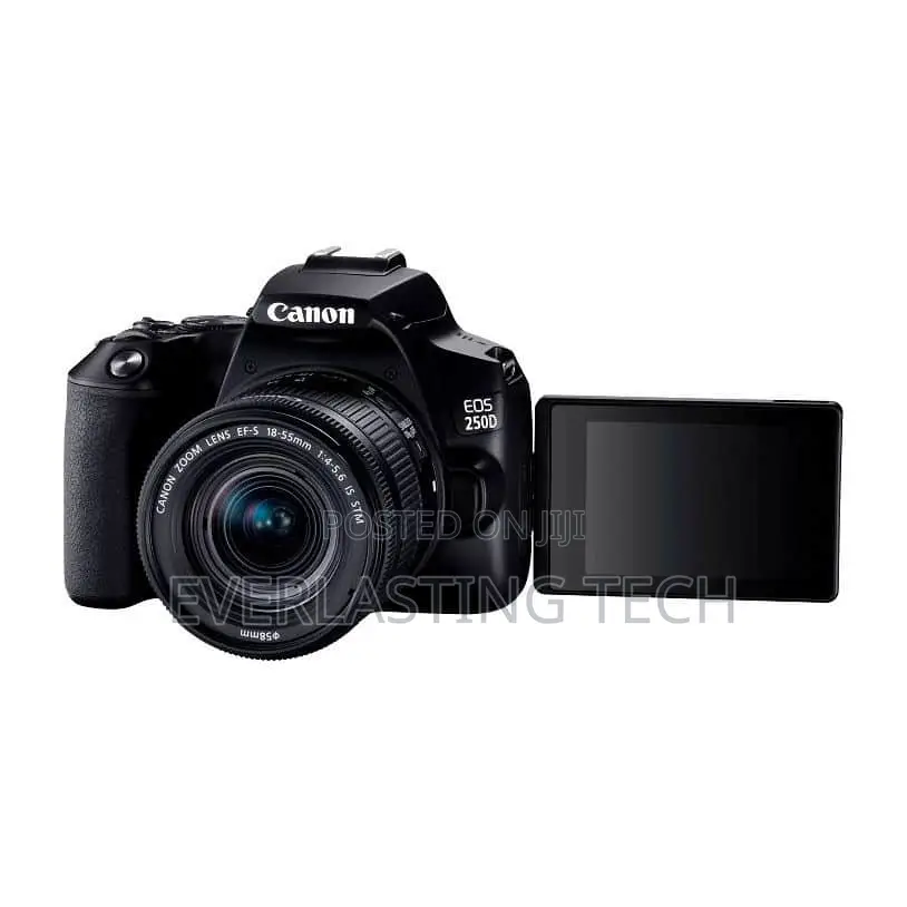 Canon EOS 250D DSLR Camera With 18-55mm F/4-5.6 IS STM Lens