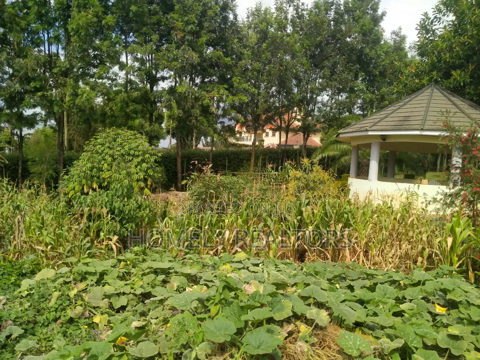 5bdrm Maisonette in Ngong, Maragara Road for sale