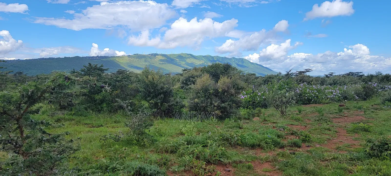 Prime Plots for Sale in Ngong, Kimuka