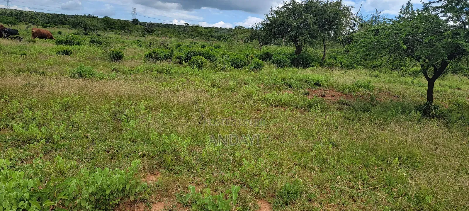 Prime Plots for Sale in Ngong, Kimuka