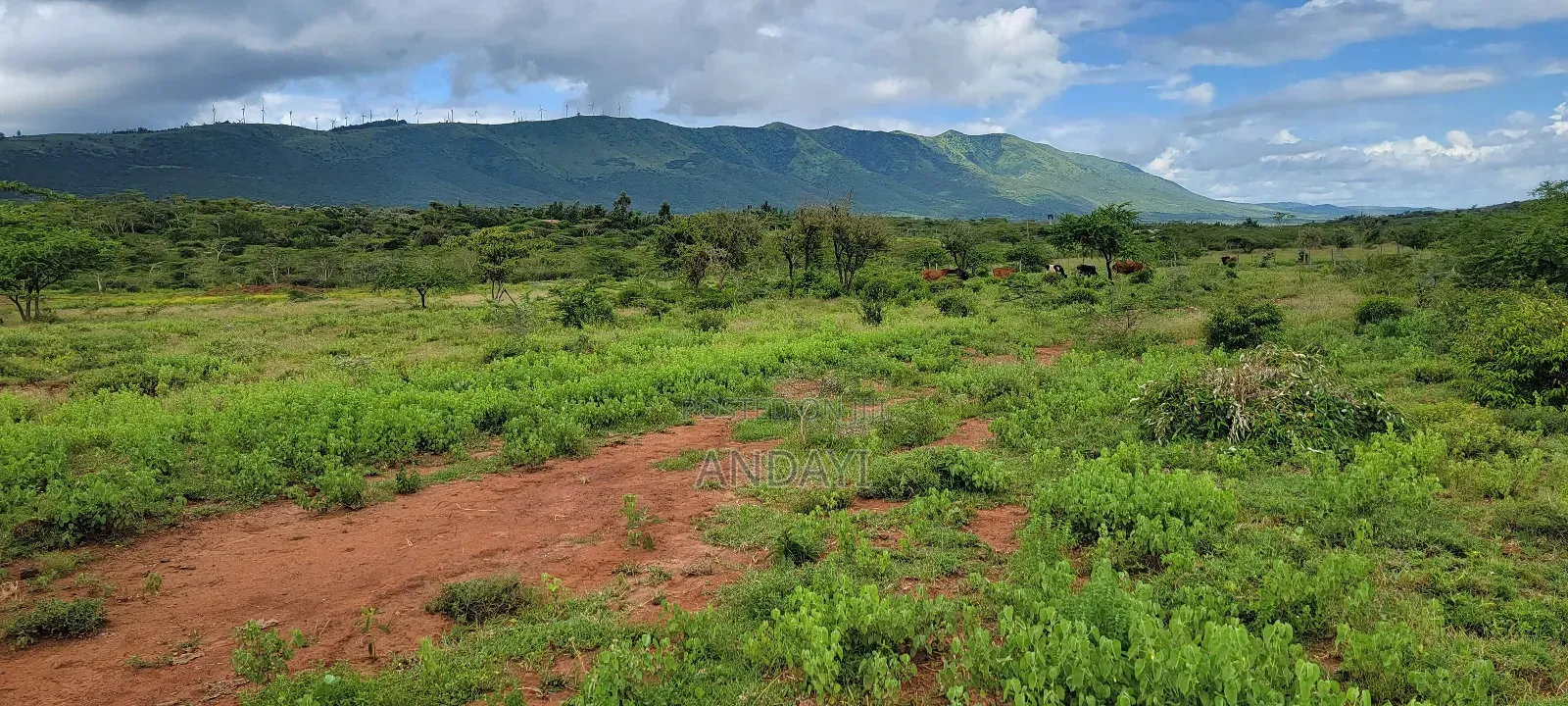 Prime Plots for Sale in Ngong, Kimuka