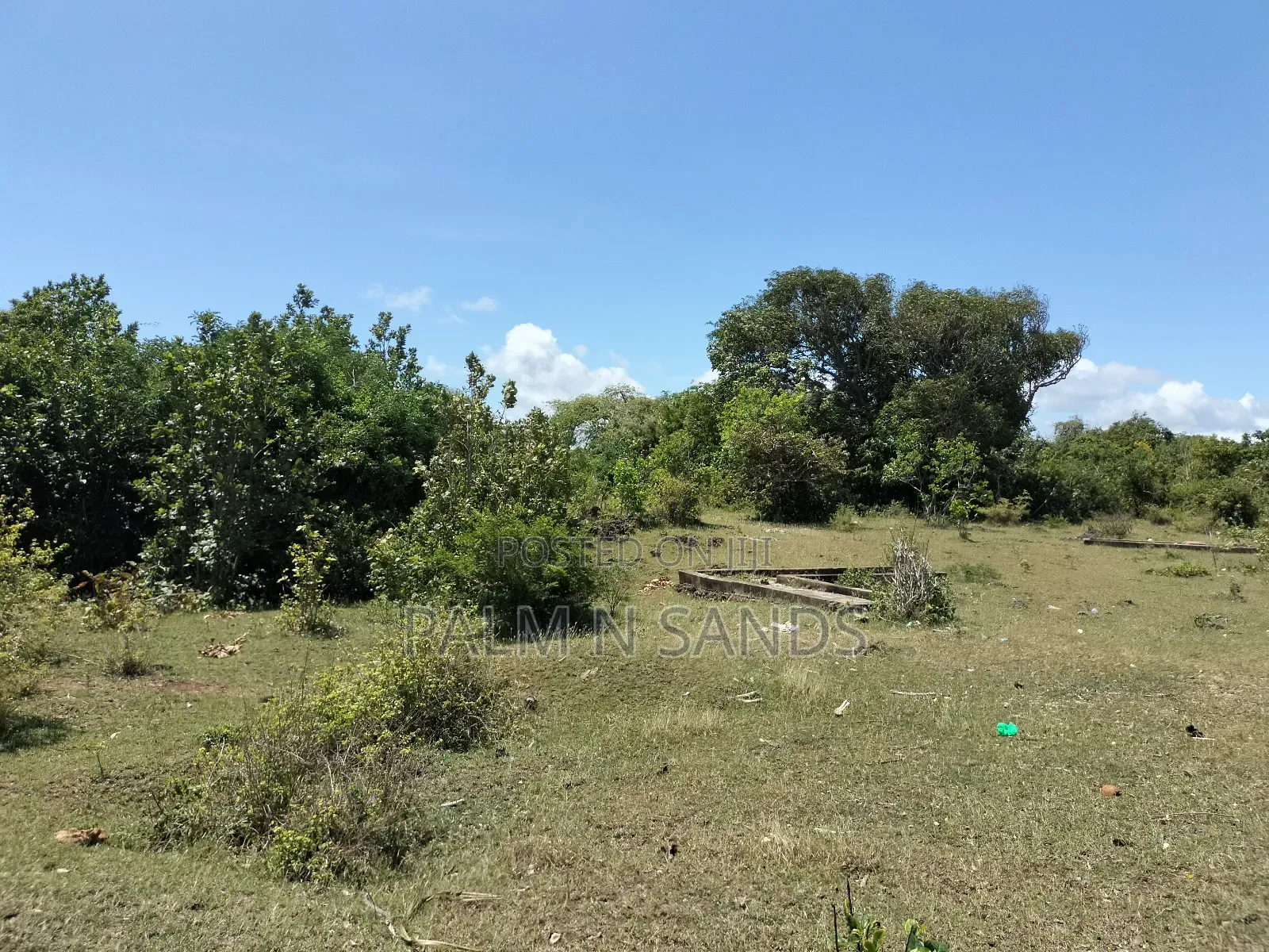 Shimoni First Row Beach Property on the Market