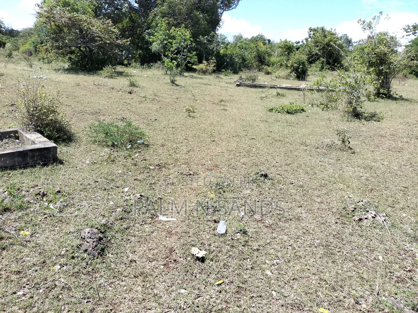 Shimoni First Row Beach Property on the Market