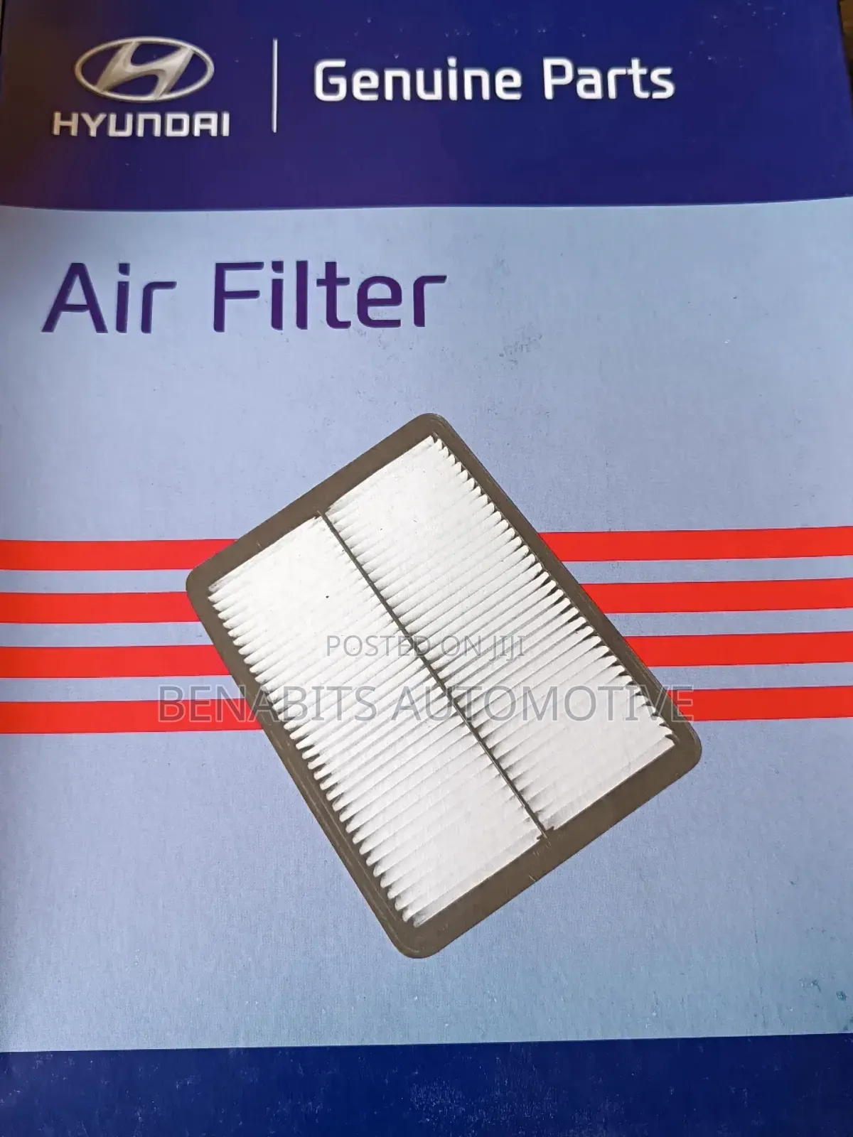 Hyundai Santa Fe Air Cleaners