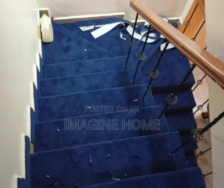 Delta Wall to Wall Beautiful Carpet