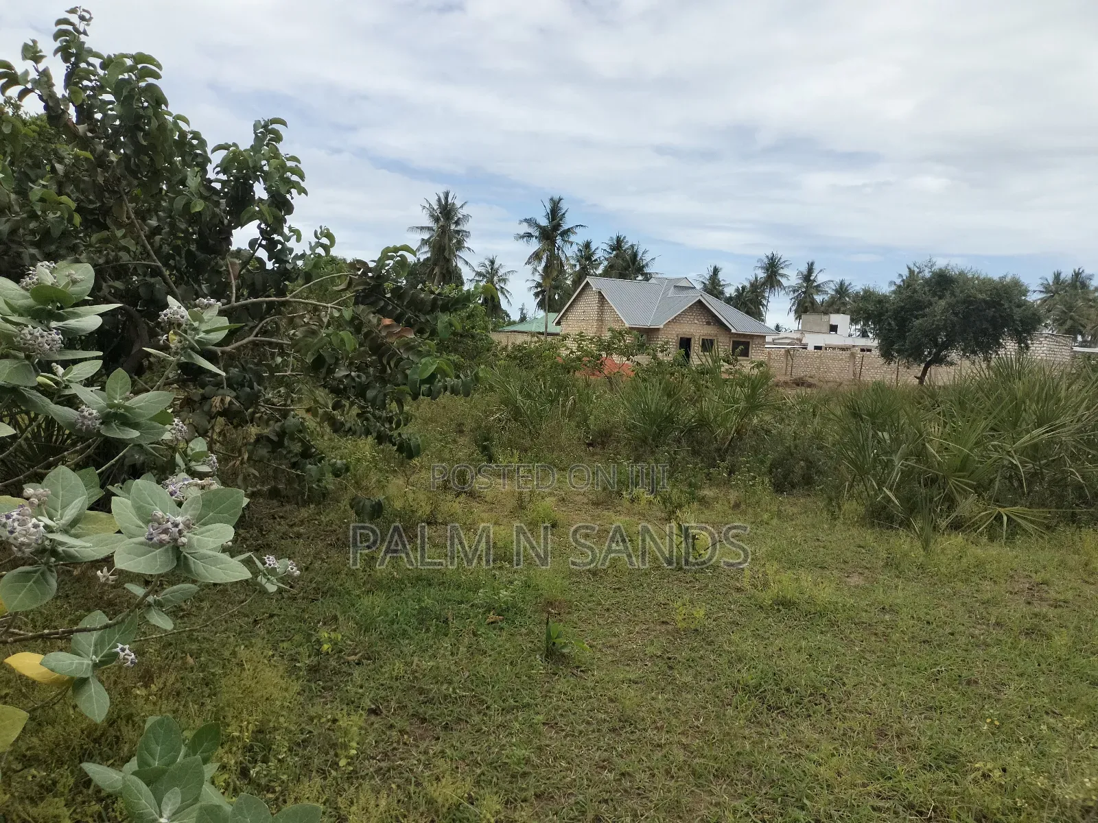 Quarter Acre Plots on a Quick Sale in Kinondo