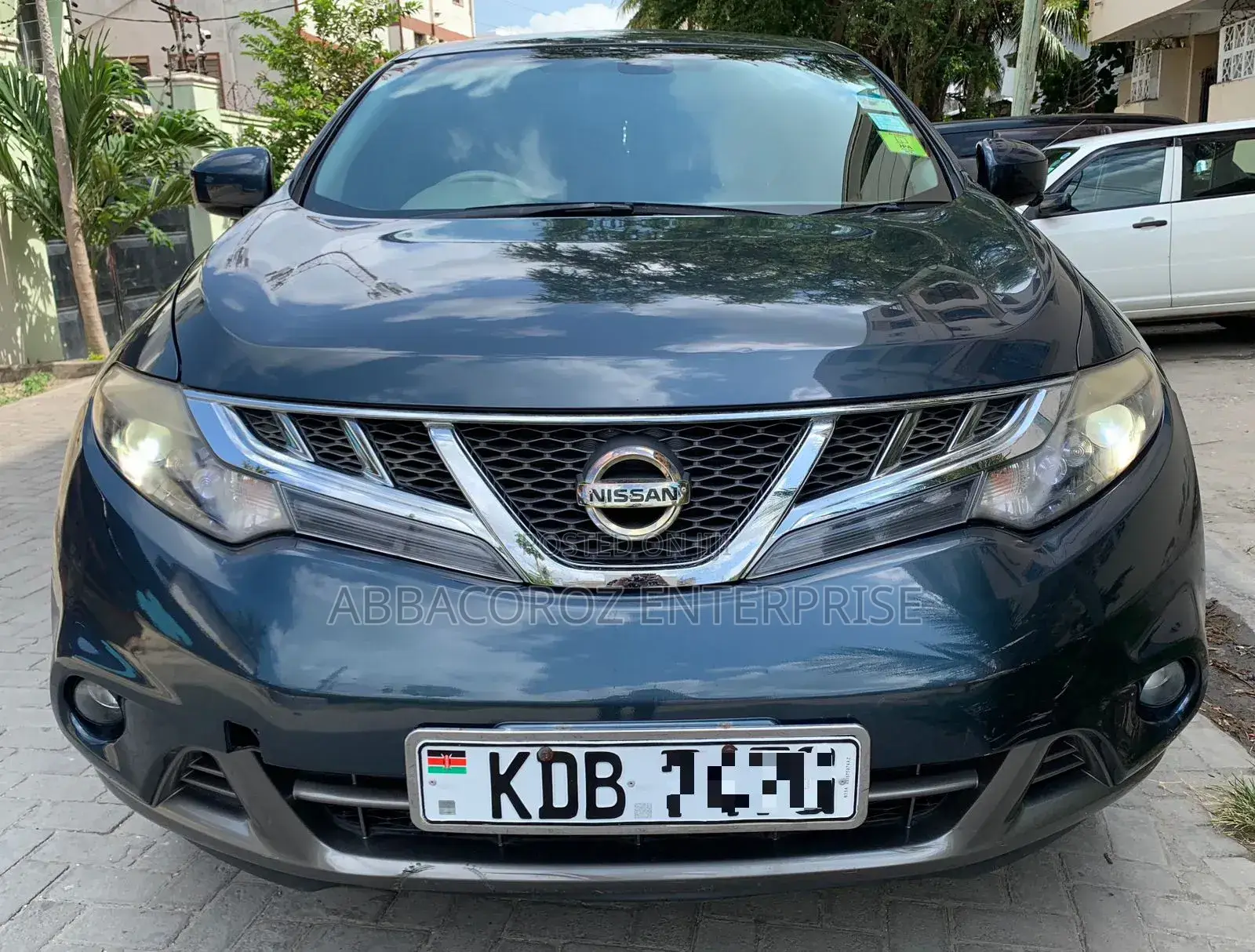 Nissan Murano 2013 Blue