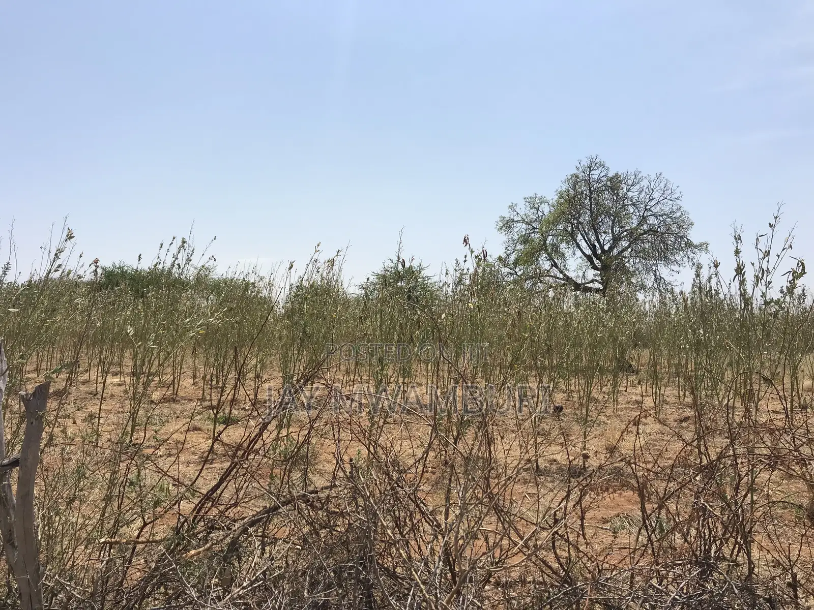 5 Acre Land Makindu