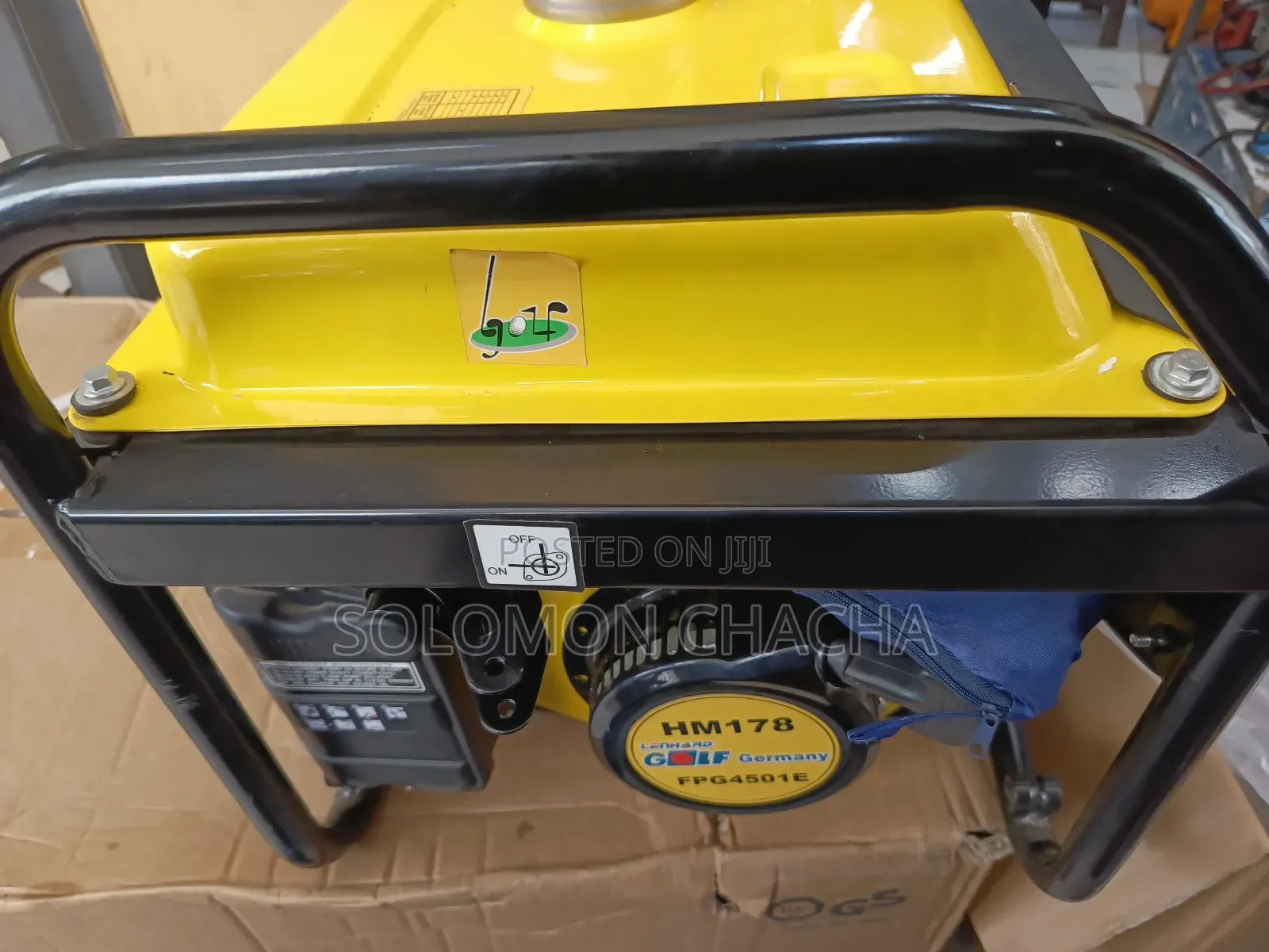 Lenhard Golf Germany 4.5kw FP4501E Gasoline Generator