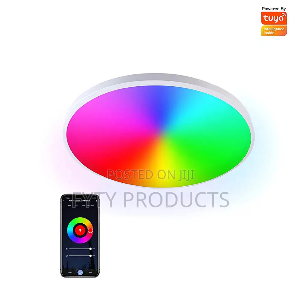 Smart WIFI Ceiling Light