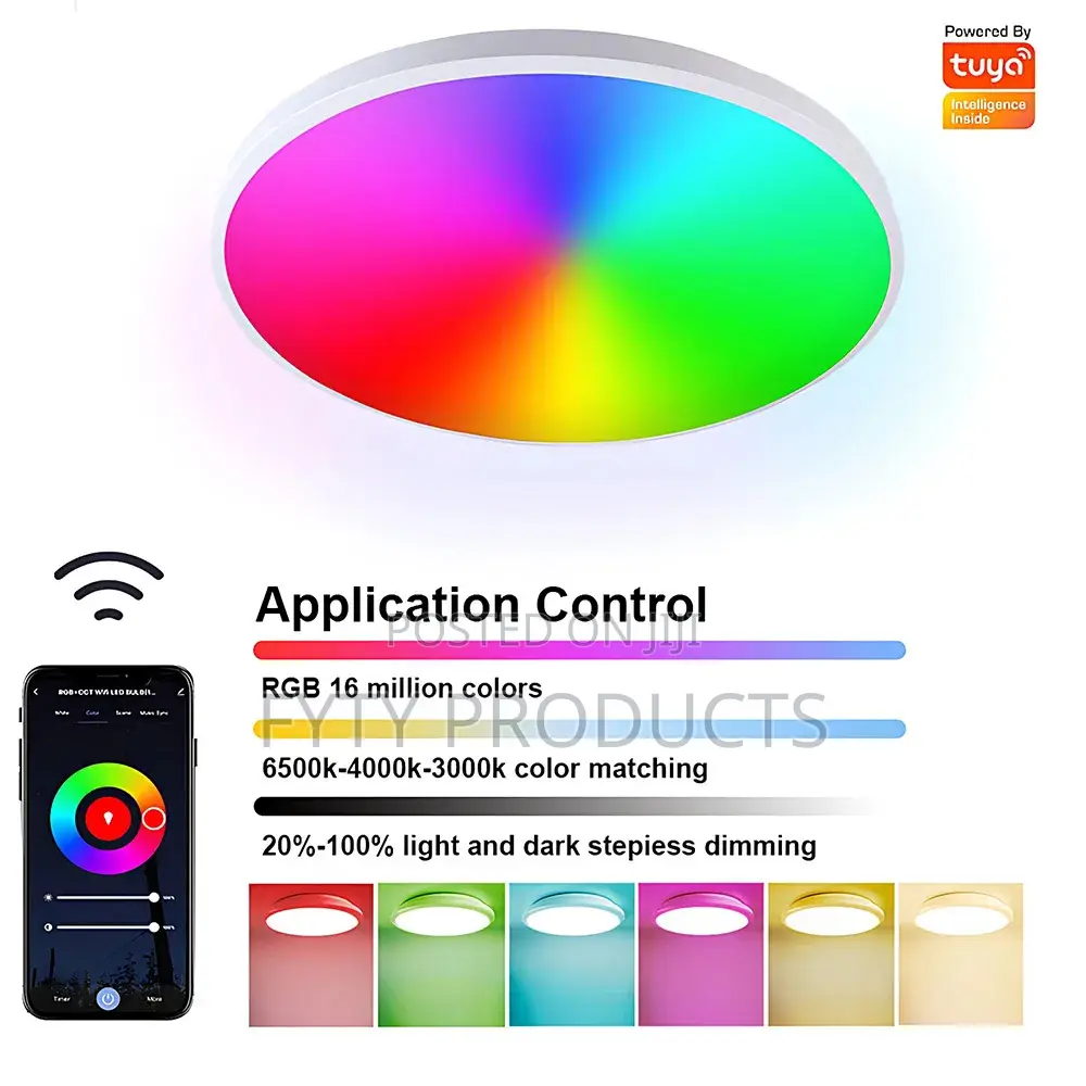 Smart WIFI Ceiling Light