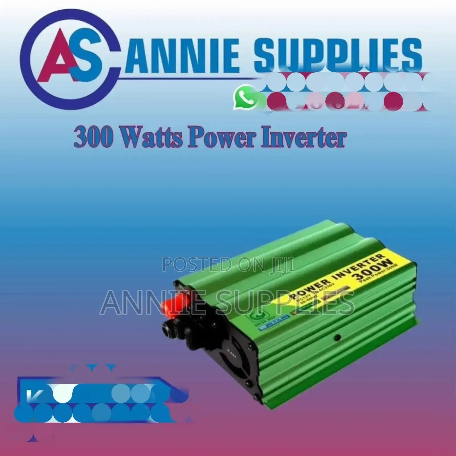 Solarmax Power Inverter 300w Peak Power 600w