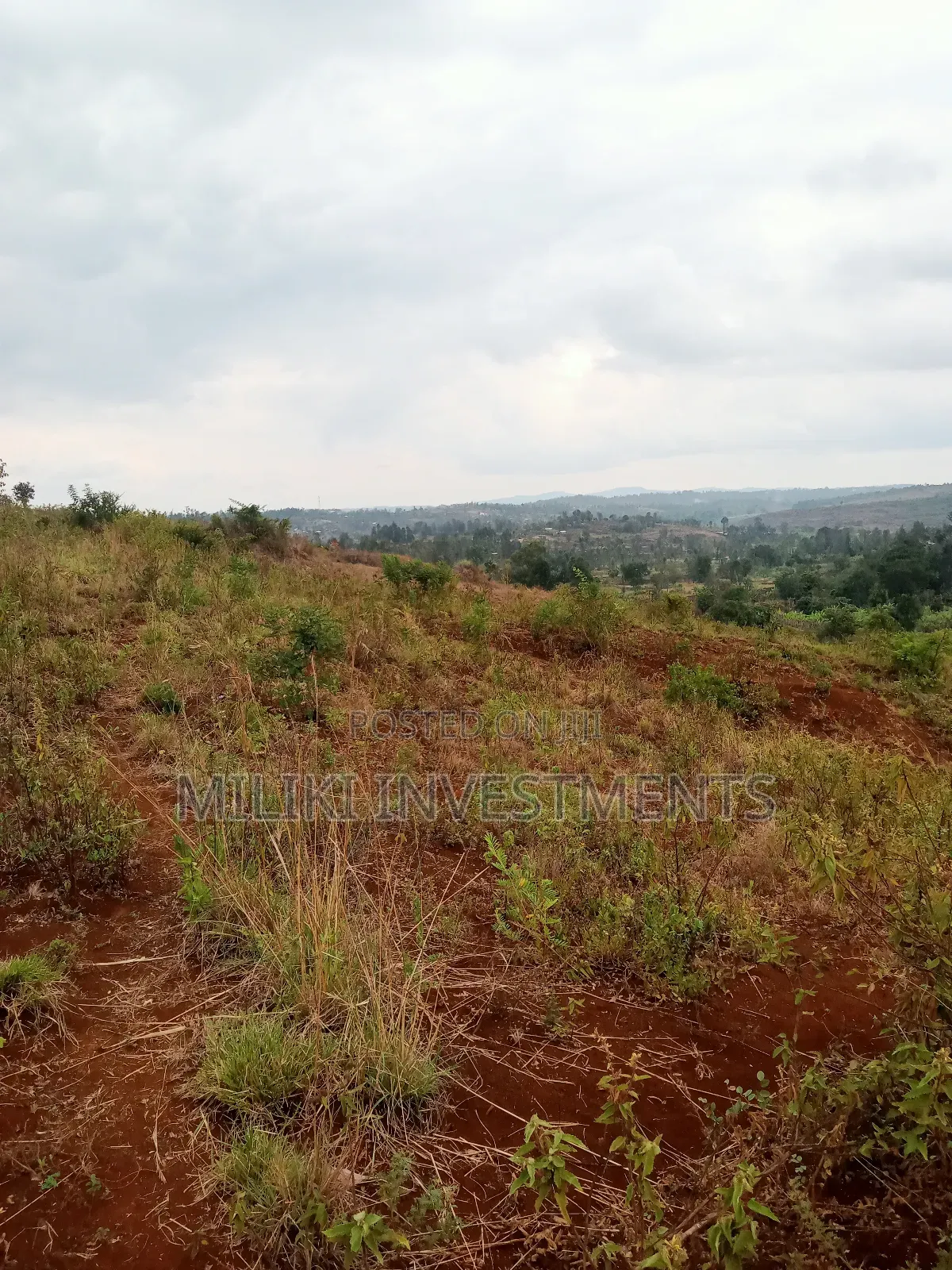 40 by 80 Plots on Sale at Kenol-Milimani Estate 