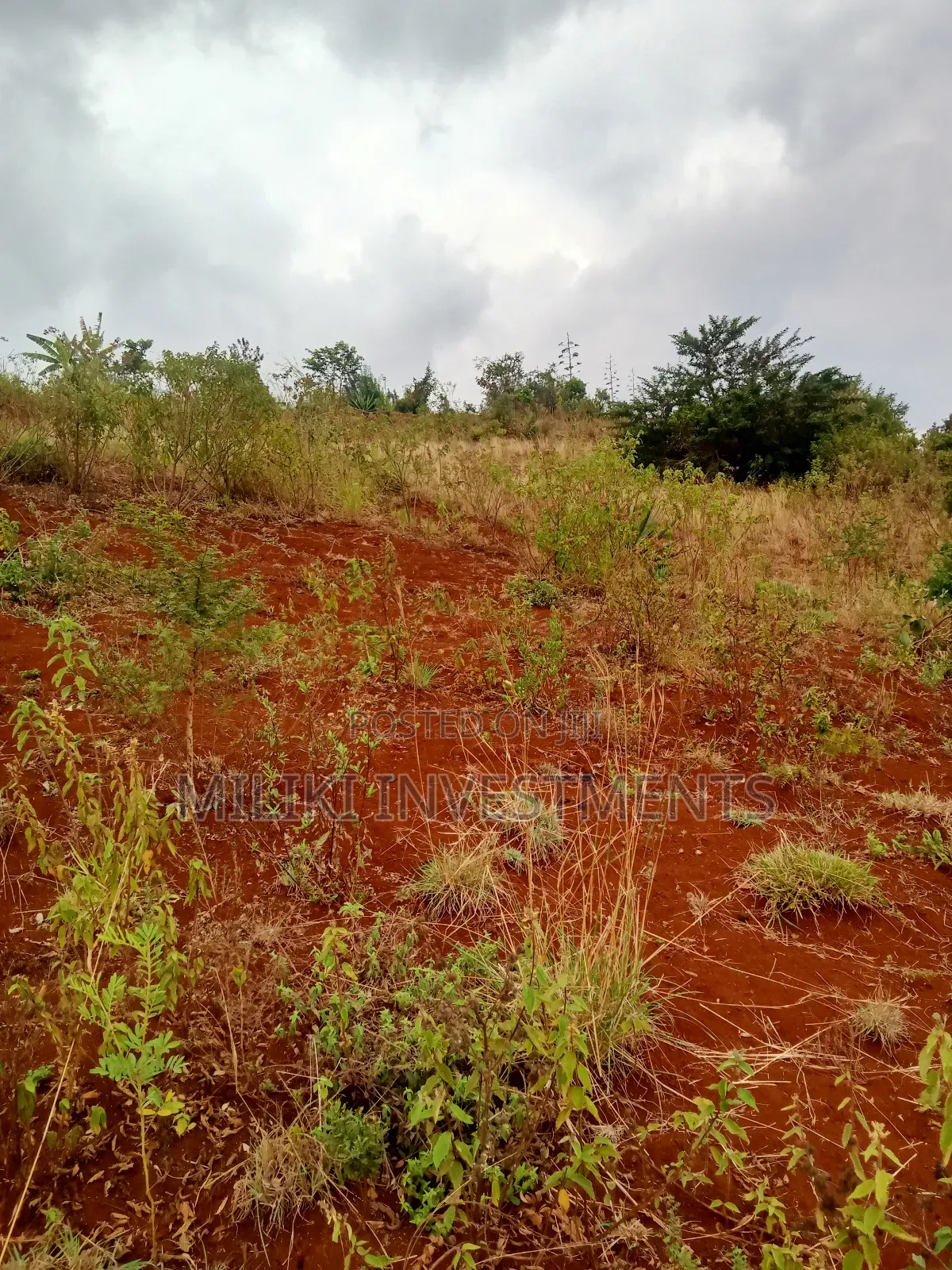 40 by 80 Plots on Sale at Kenol-Milimani Estate 