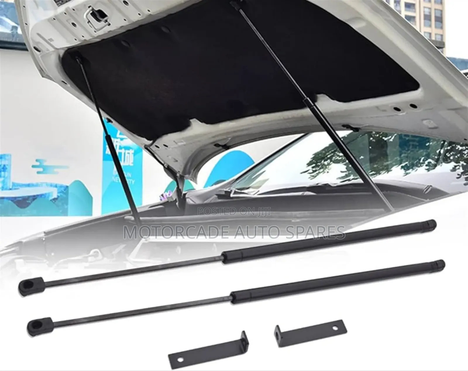 Lexus Rx 270/450h Bonnet Shocks