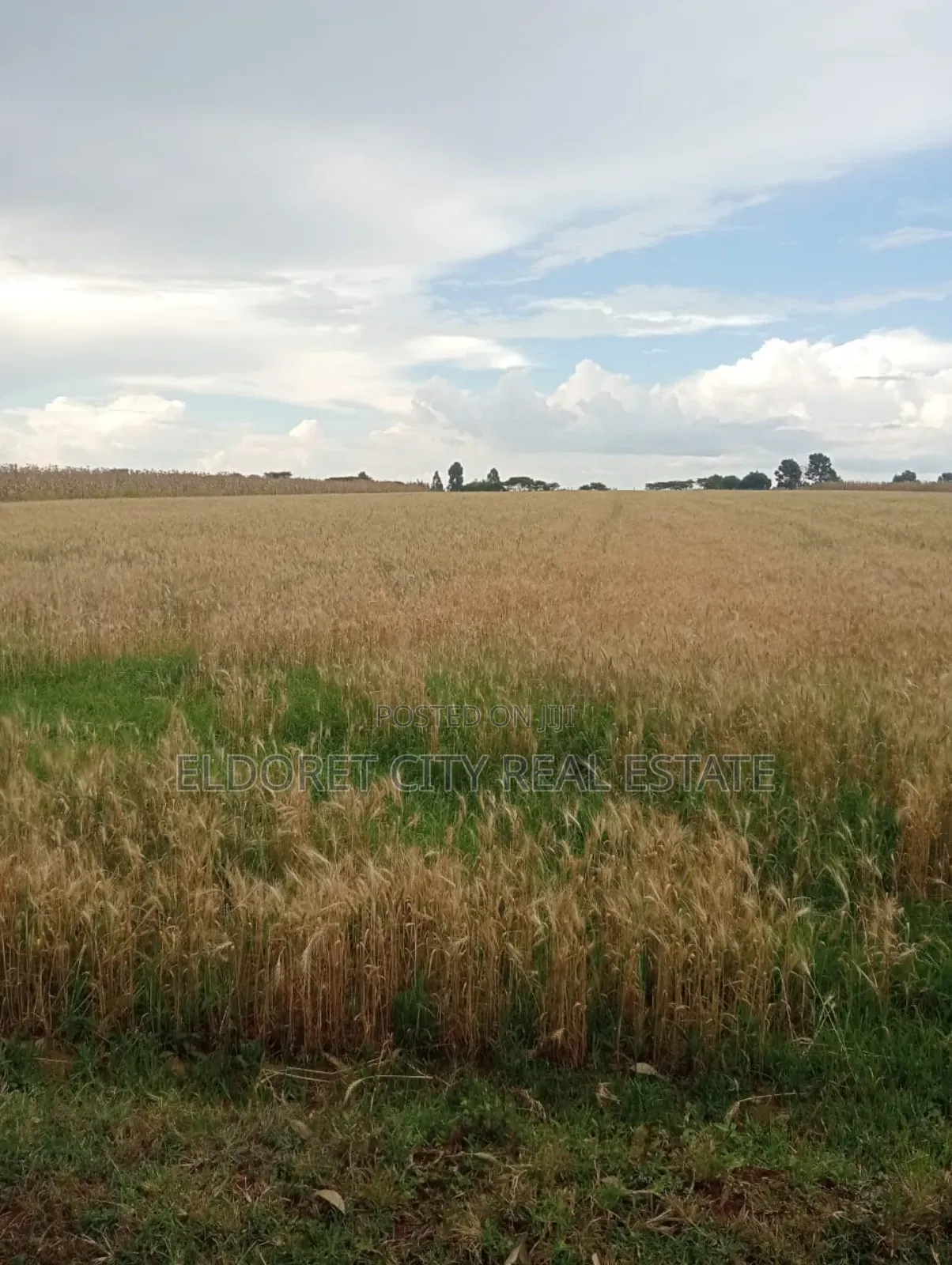 4 Acres Kaprobu 3.5km From Tarmac