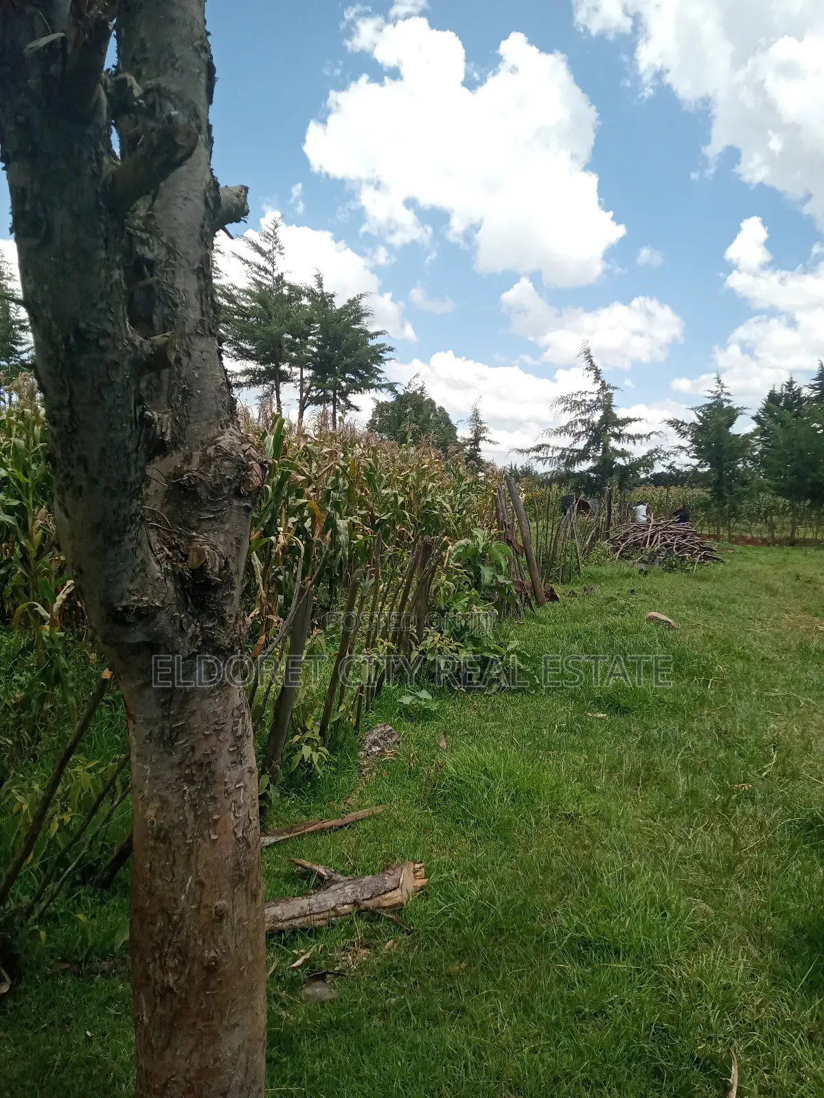 21 Acres on Sale Talnget After Ilula.