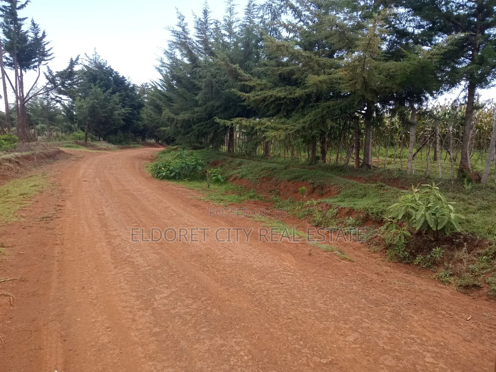 21 Acres on Sale Talnget After Ilula.