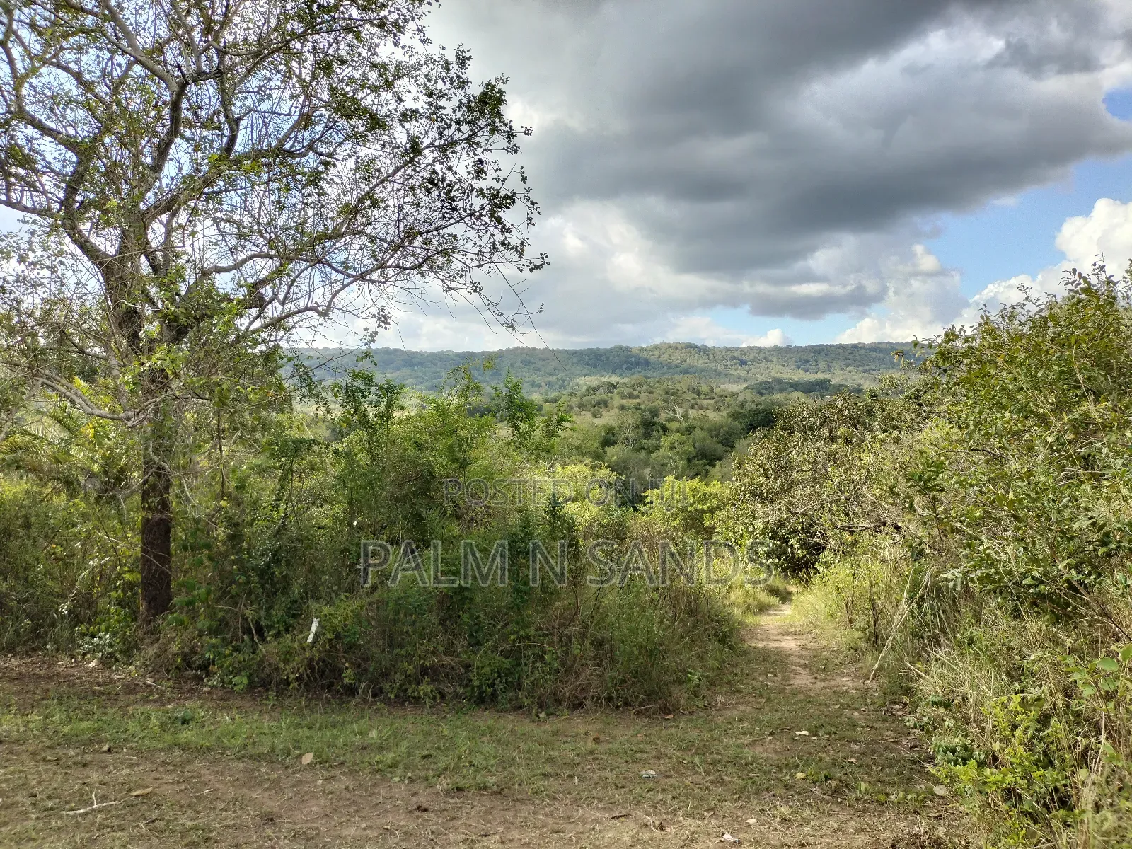 22 Acres Farmland in Shimbahills