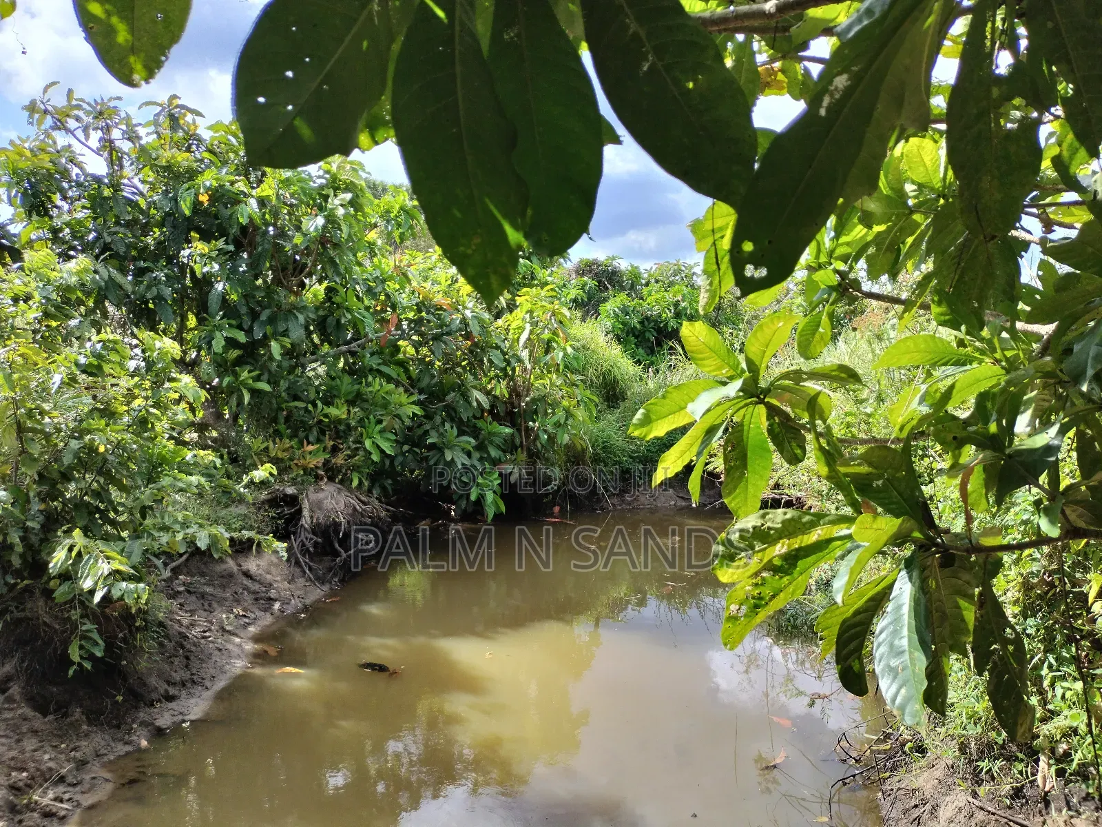 22 Acres Farmland in Shimbahills