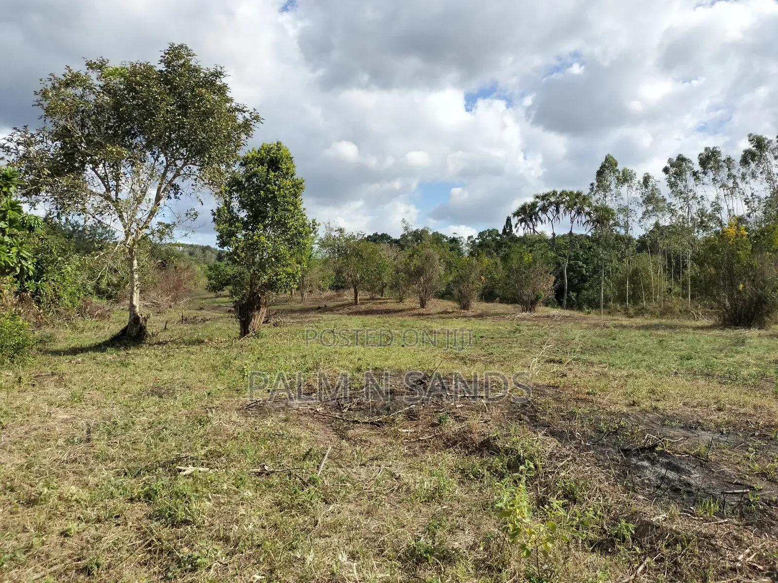 22 Acres Farmland in Shimbahills