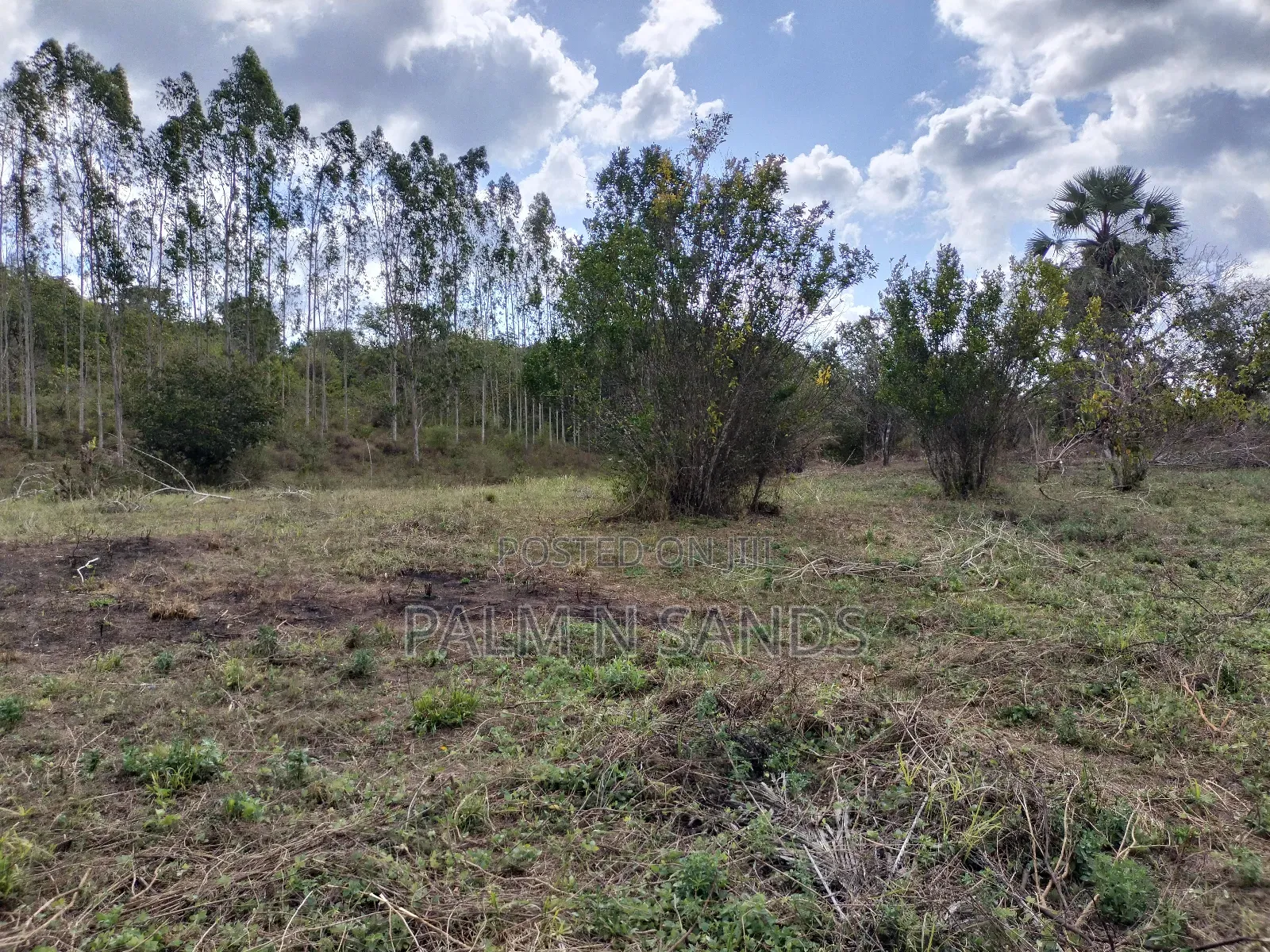 22 Acres Farmland in Shimbahills