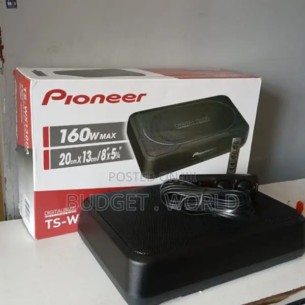 Durable Ts-Wx130da Compact Active Subwoofer (160w Max)