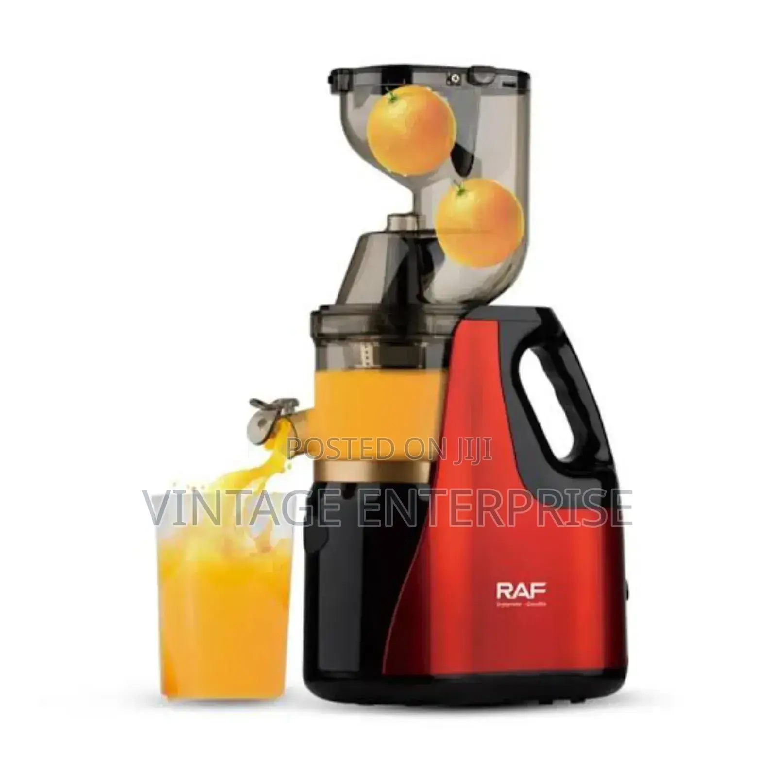Raf Slow Electric Juicer