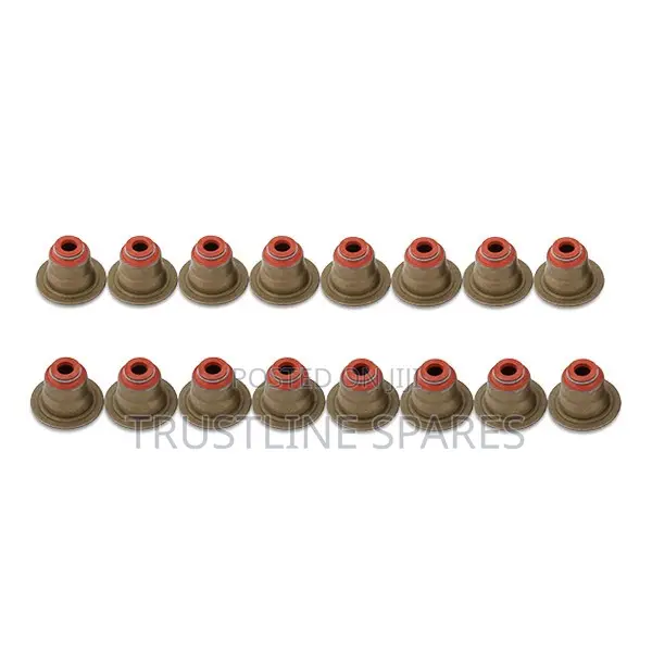 BMW X1(E84)X3(E83)X5(E53)X5(E70) - Valve Stem Seal Elring