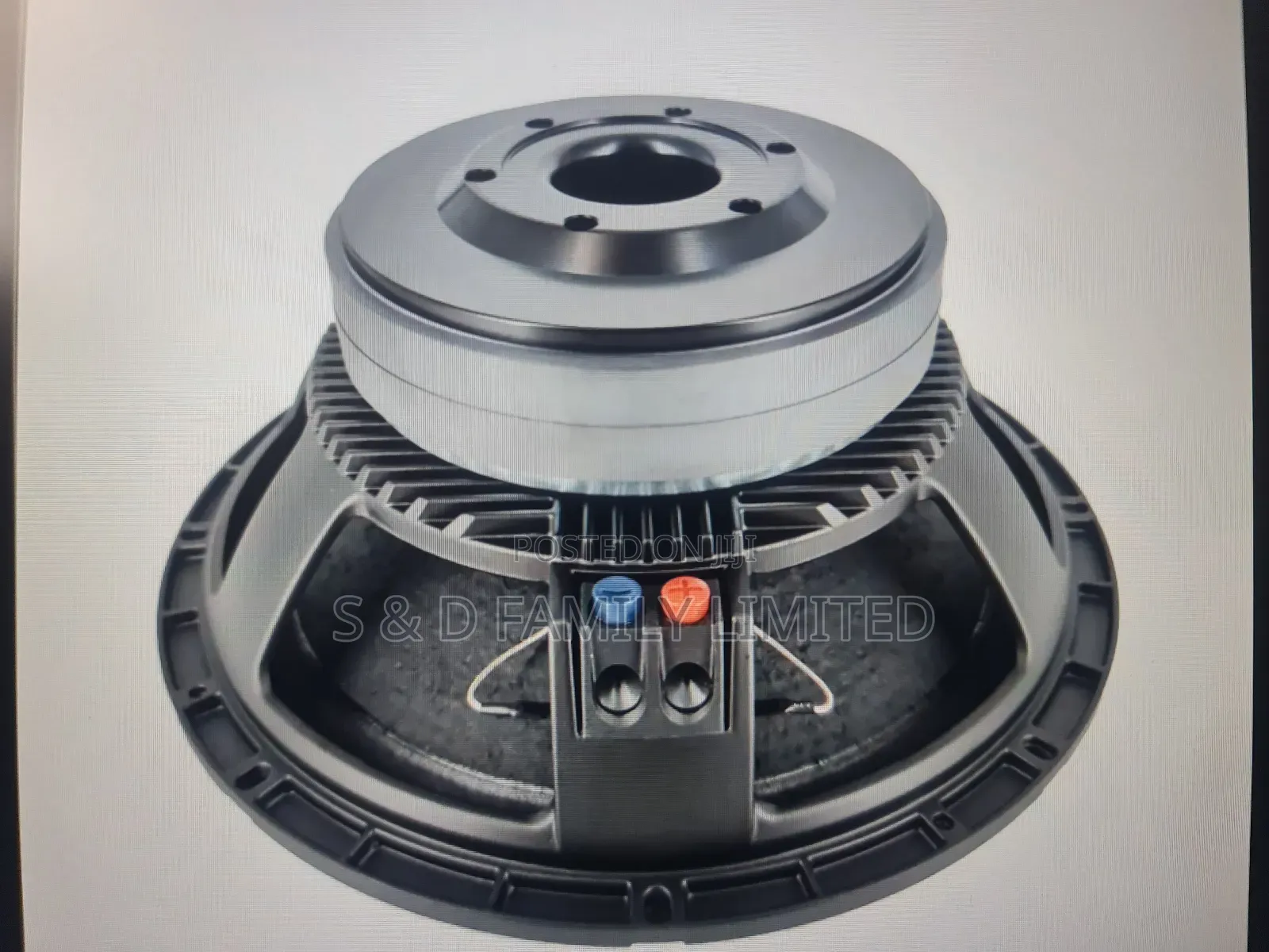 15 Inch Naked Speaker Double Magnet